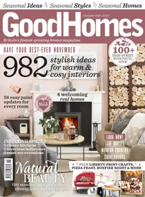 November 2016 
                issue November 2016