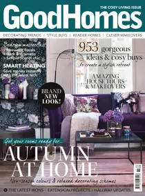 November 2018 
                issue November 2018