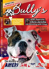 Fall 2020 
                issue Fall 2020