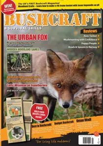 Issue 36 
                issue Issue 36