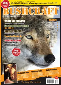 Issue 41 
                issue Issue 41