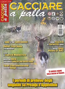 CACCIARE A PALLA LUGLIO 2015 
                issue CACCIARE A PALLA LUGLIO 2015