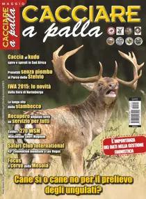 CACCIARE A PALLA MAGGIO 2015 
                issue CACCIARE A PALLA MAGGIO 2015