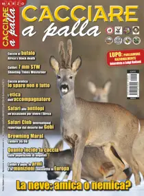 CACCIARE A PALLA MARZO 2015 
                issue CACCIARE A PALLA MARZO 2015