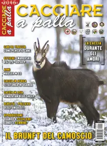 Cacciare a Palla Novembre 2015 
                issue Cacciare a Palla Novembre 2015