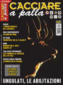 DICEMBRE 2016 
                issue DICEMBRE 2016