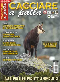 Dicembre 2017 
                issue Dicembre 2017