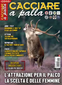 Dicembre 2018 
                issue Dicembre 2018