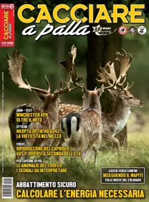 Dicembre 2019 
                issue Dicembre 2019