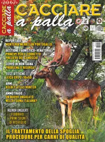 Febbraio 2017 
                issue Febbraio 2017