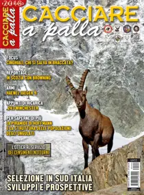  Febbraio 2018 
                issue  Febbraio 2018