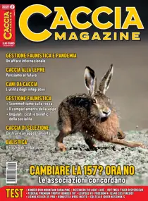 FEBBRAIO 2021 
                issue FEBBRAIO 2021