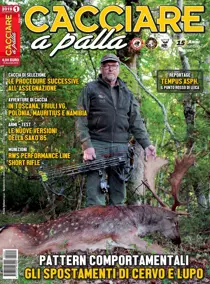 Gennaio 2019 
                issue Gennaio 2019