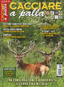 Giugno 2017 
                issue Giugno 2017