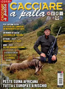 Giugno 2018 
                issue Giugno 2018
