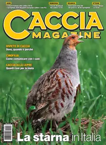 Giugno 2025 
                issue Giugno 2025