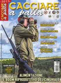 Luglio 2017 
                issue Luglio 2017