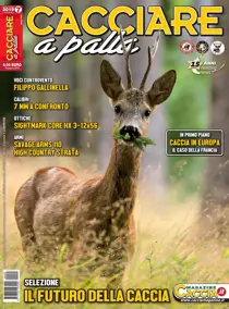Luglio 2019 
                issue Luglio 2019