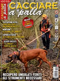 Maggio 2018 
                issue Maggio 2018