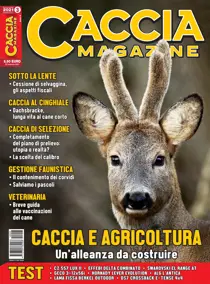 Marzo 2021 
                issue Marzo 2021