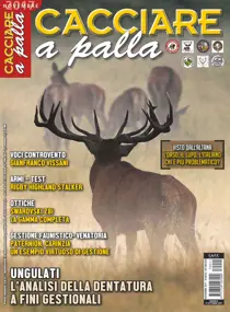 Novembre 2017 
                issue Novembre 2017
