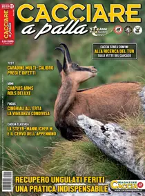 Novembre 2019 
                issue Novembre 2019