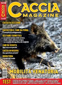 Novembre 2020 
                issue Novembre 2020