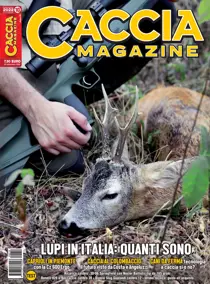 October 2022 
                issue October 2022