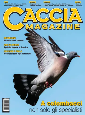 Caccia Magazine Preview