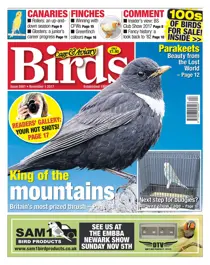 01 November 2017 
                issue 01 November 2017