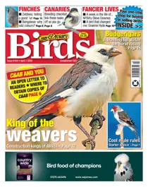 01/04/2020 
                issue 01/04/2020