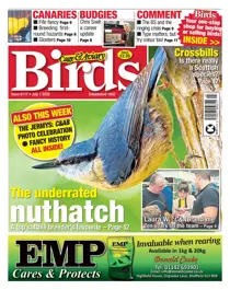 01/07/2020 
                issue 01/07/2020