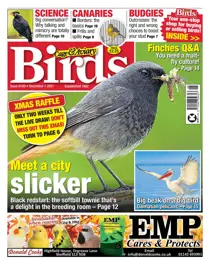 01/12/2021 
                issue 01/12/2021