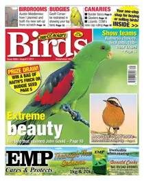 02 August 2017 
                issue 02 August 2017