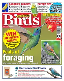 02/06/2021 
                issue 02/06/2021