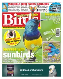 03/04/2019 
                issue 03/04/2019