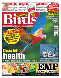 03/11/2021 
                issue 03/11/2021