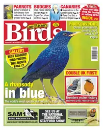 04 October 2017 
                issue 04 October 2017