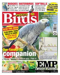 04/08/2021 
                issue 04/08/2021