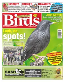 04/09/2019 
                issue 04/09/2019