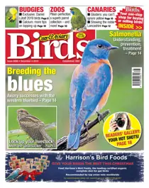 04/12/2019 
                issue 04/12/2019