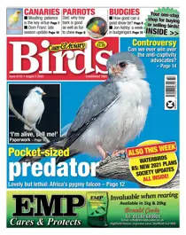 05-08-2020 
                issue 05-08-2020