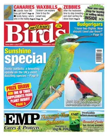05 July 2017 
                issue 05 July 2017