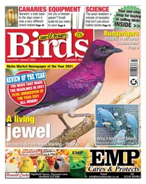 05/01/2022 
                issue 05/01/2022