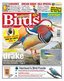 05/06/2019 
                issue 05/06/2019