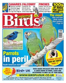 06 December 2017 
                issue 06 December 2017