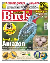 06 September 2017 
                issue 06 September 2017