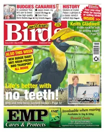 06/05/2020 
                issue 06/05/2020