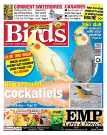 06/10/2021 
                issue 06/10/2021