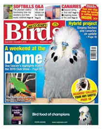 06/11/2019 
                issue 06/11/2019